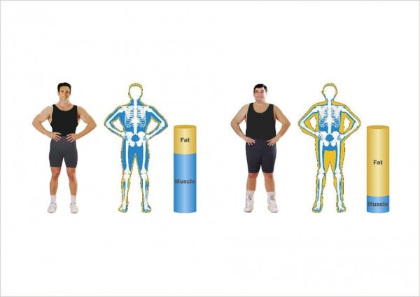 7a35d6e3-bc66-440a-aff0-19f7cf9981ff