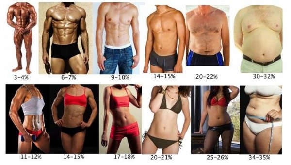 body-fat-percentage-levels [2384980]