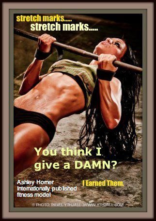 32f1d7877ab81288c7681d4c5b2f7ae3