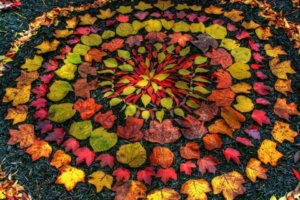 autumn-leaves-circle