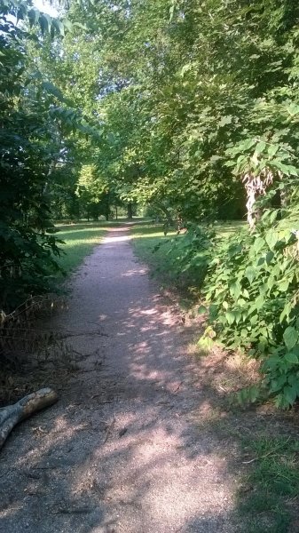 WP_20150807_08_05_31_Pro